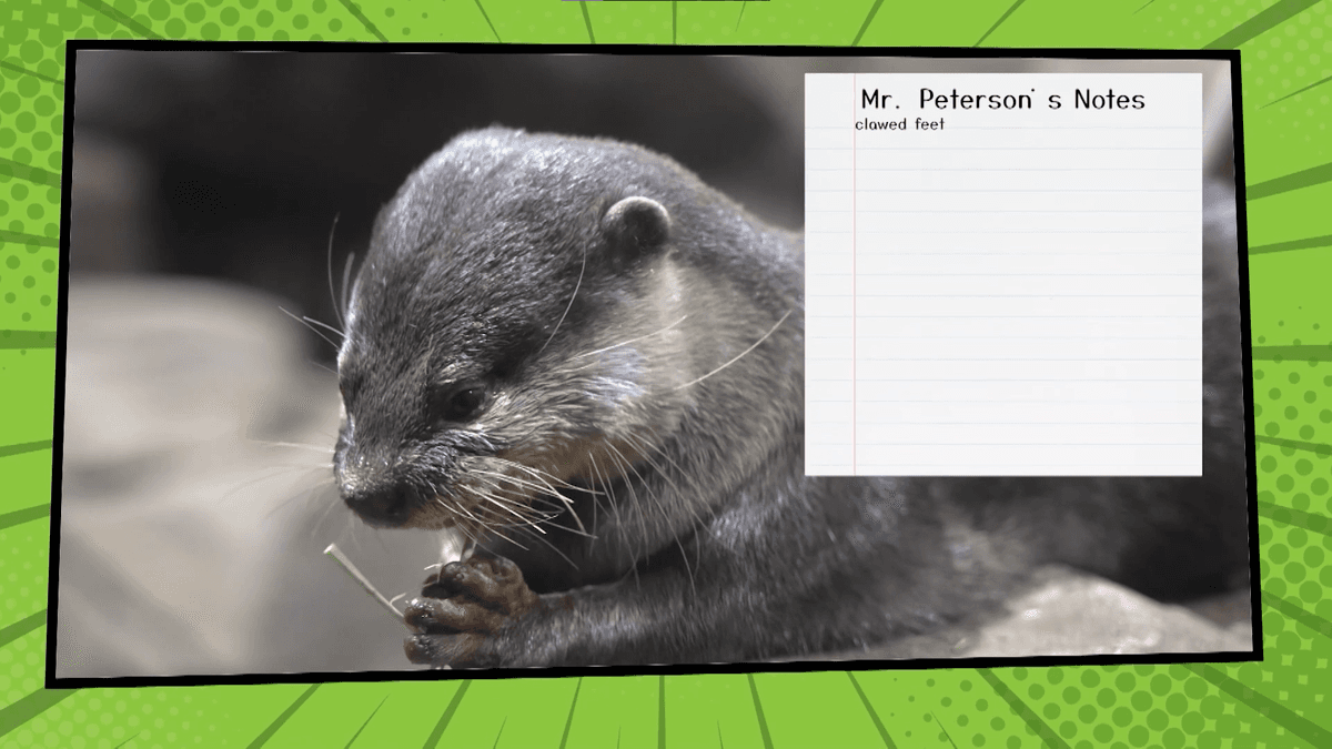 Rivers and Lakes, Oh My!