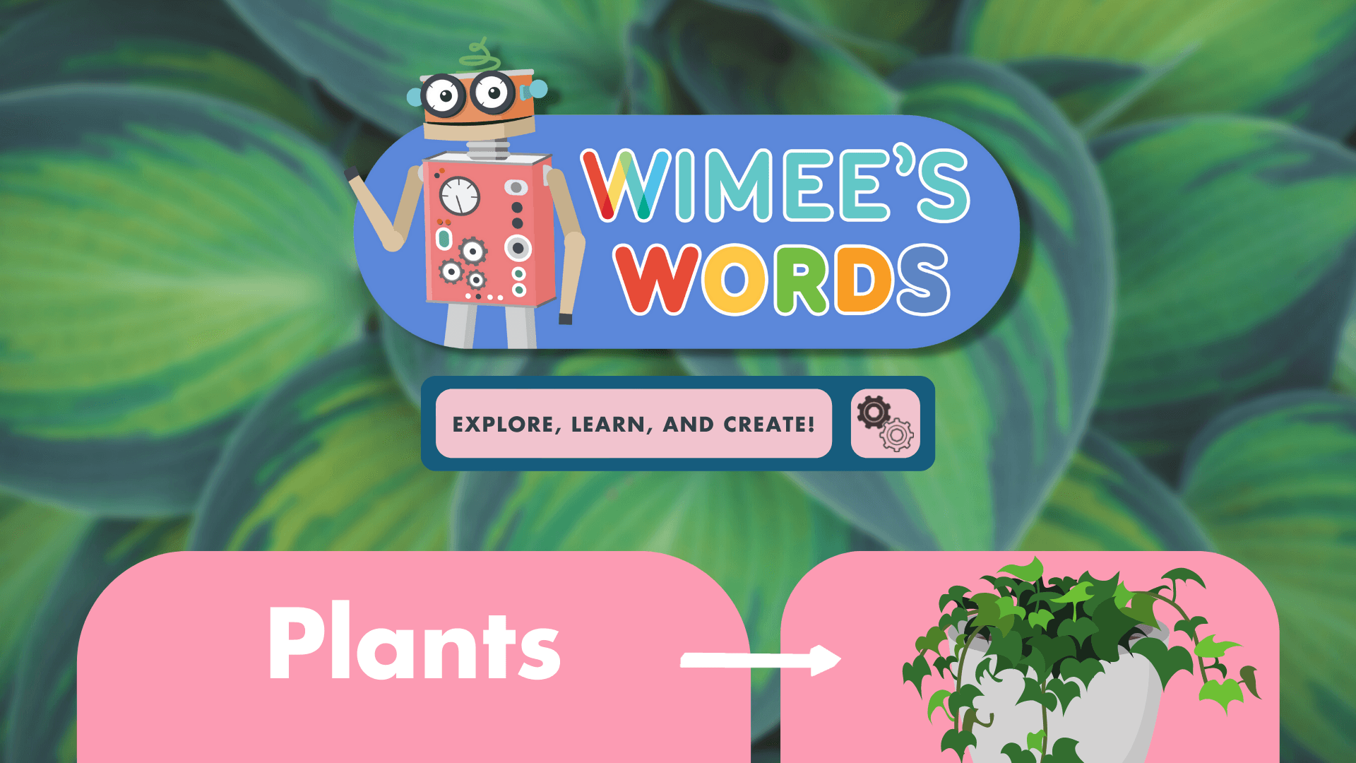 Educational Video
