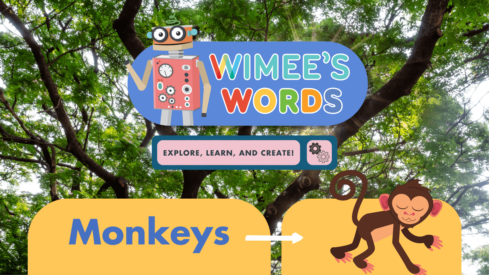 Educational Video