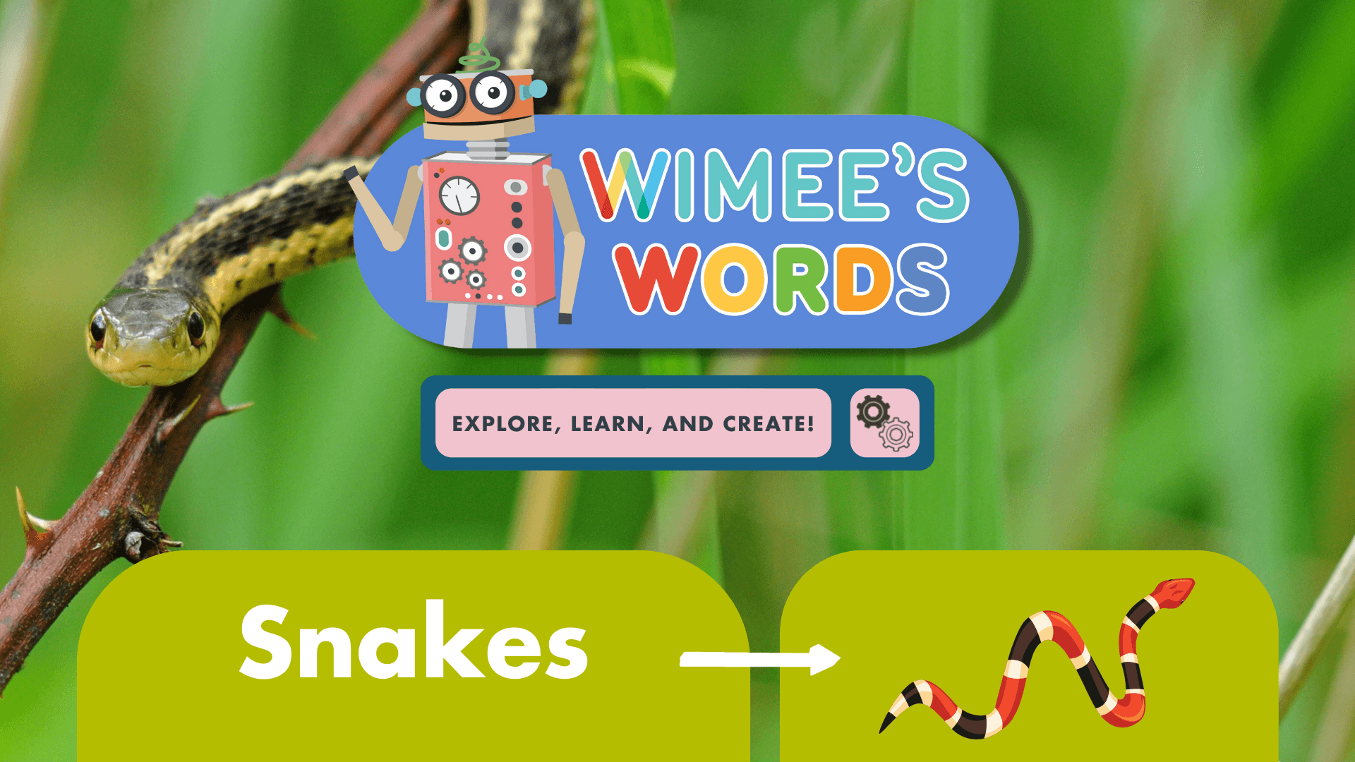 Educational Video