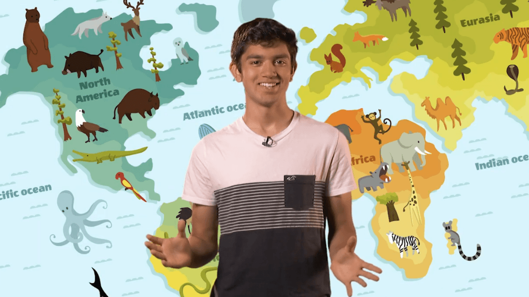 Educational Video