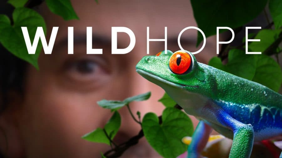 Wild Hope