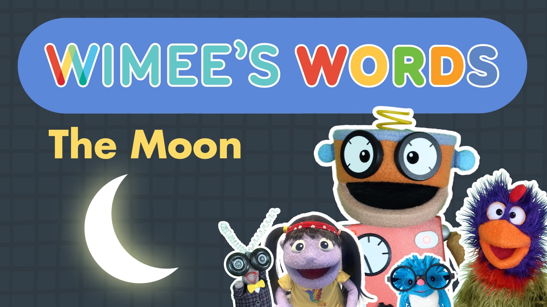 Educational Video