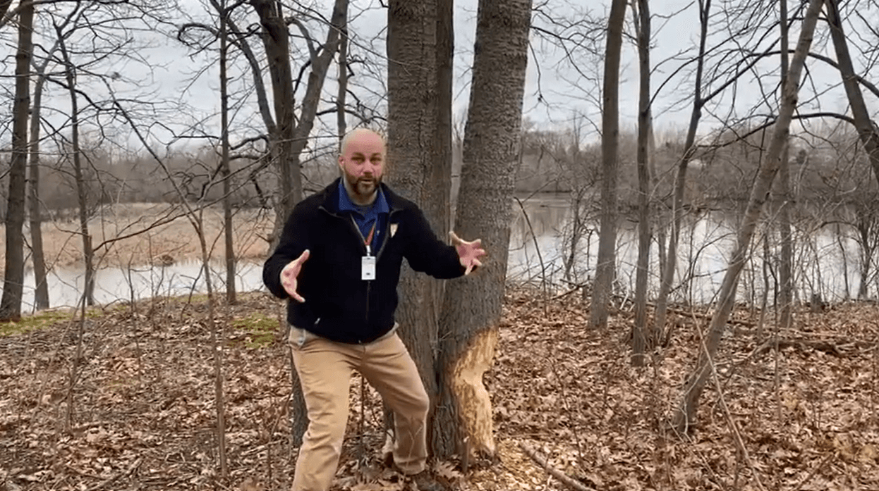 Educational Video