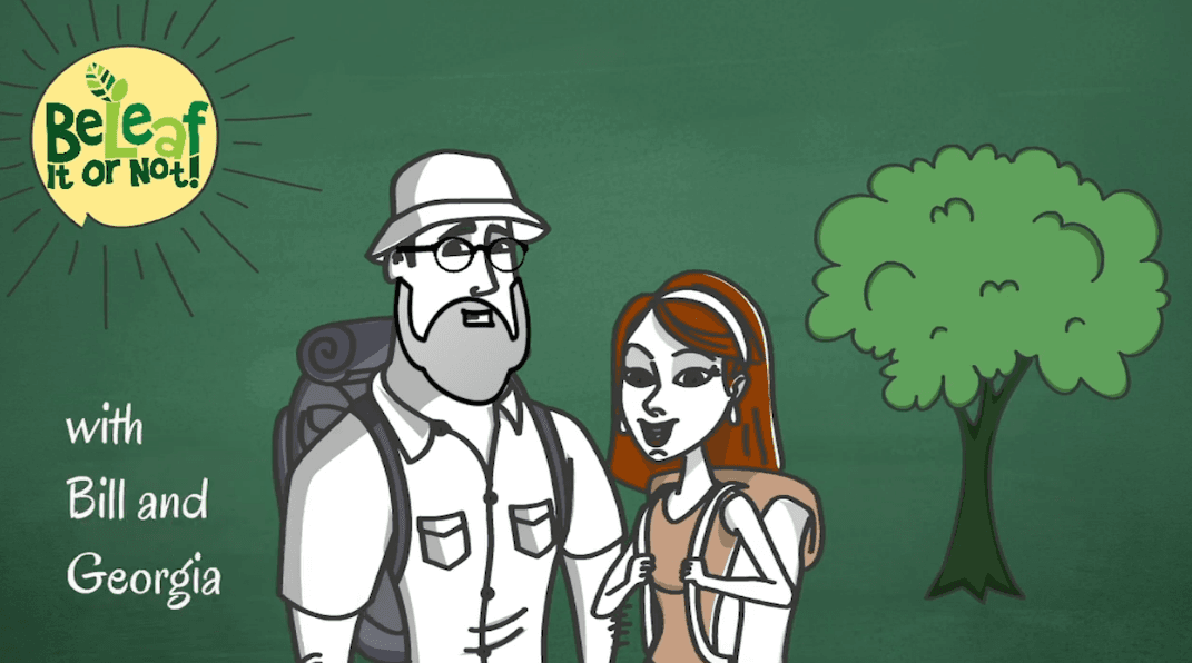 Educational Video