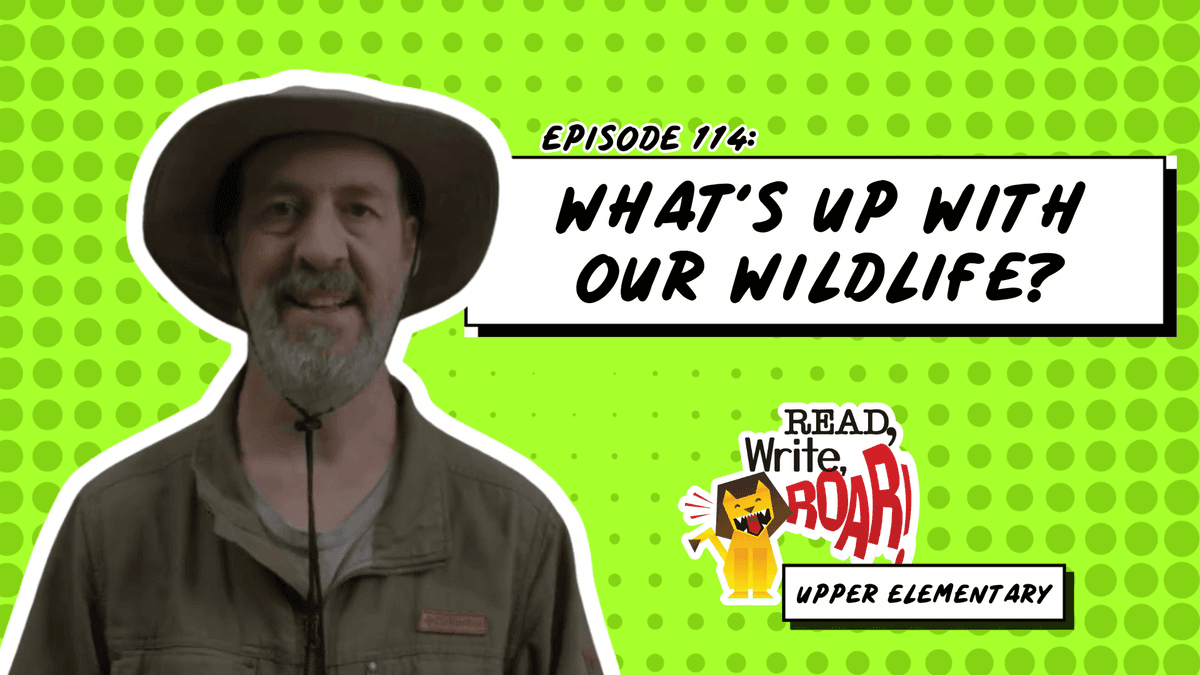 What’s up with Our Wildlife?