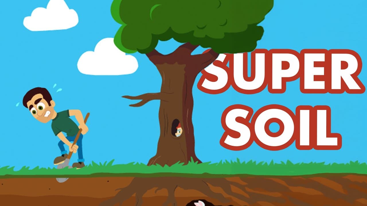 Educational Video