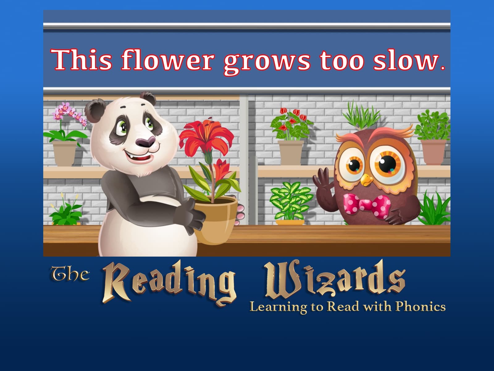 Educational Video