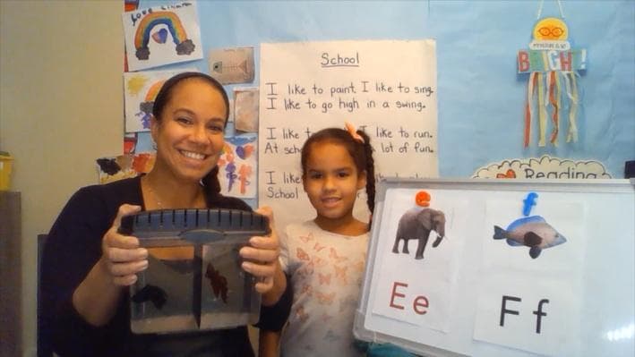 Educational Video