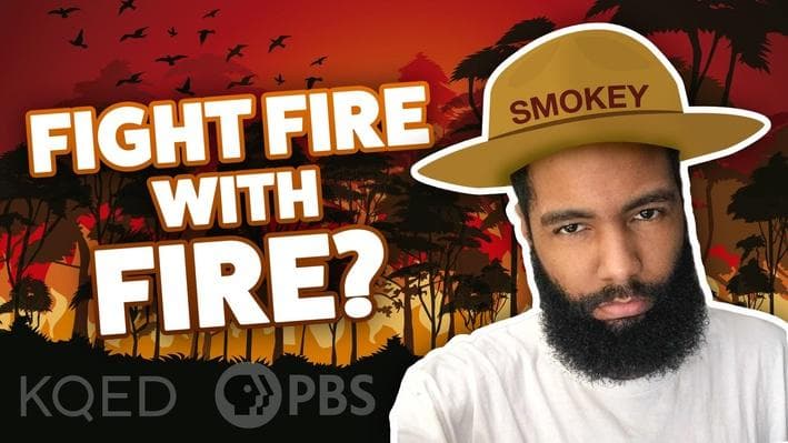 Educational Video