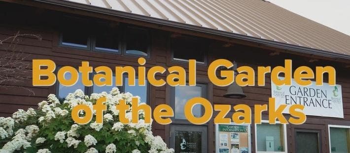 Educational Video