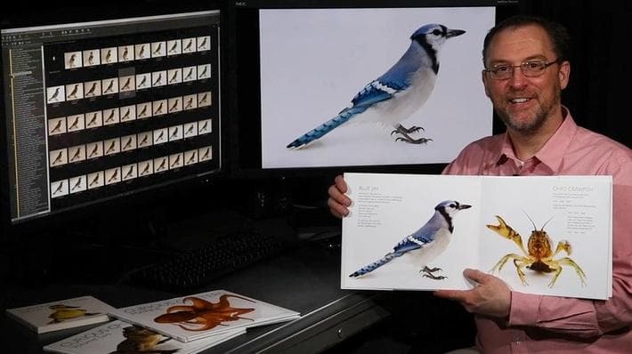 Educational Video
