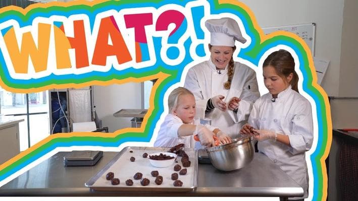 Educational Video