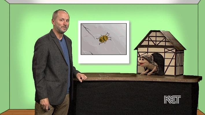 Educational Video