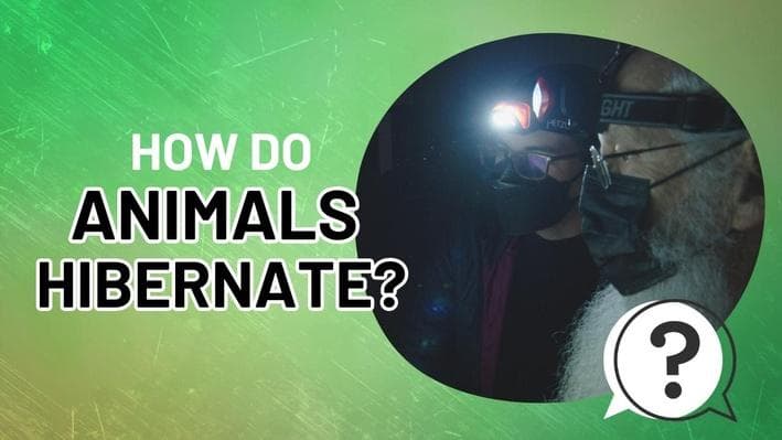 Educational Video