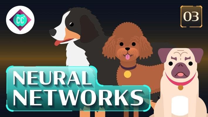 Educational Video