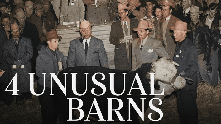 Educational Video