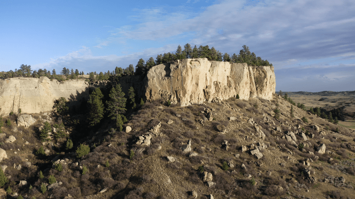 Educational Video