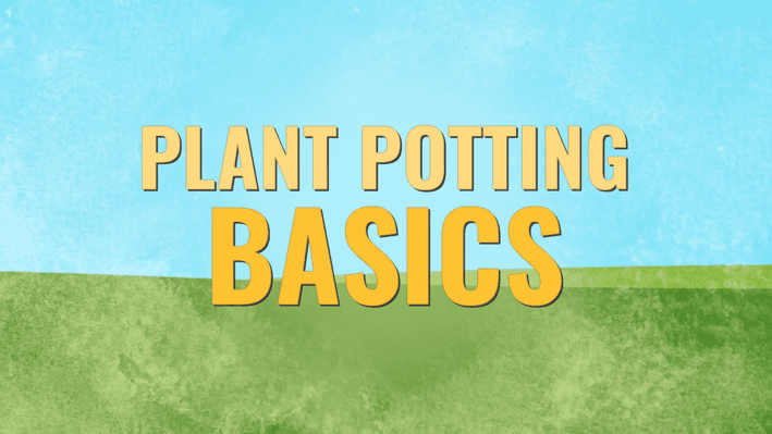 Educational Video