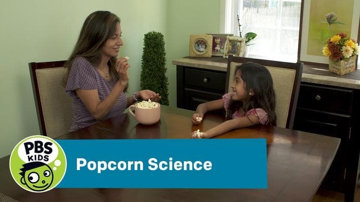 Educational Video
