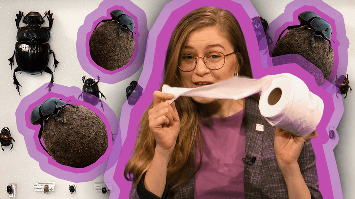 Educational Video