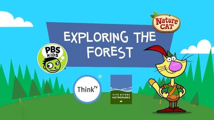 Educational Video