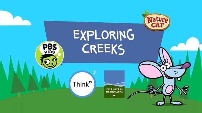 Educational Video