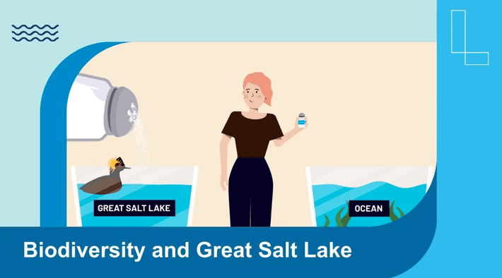 Educational Video