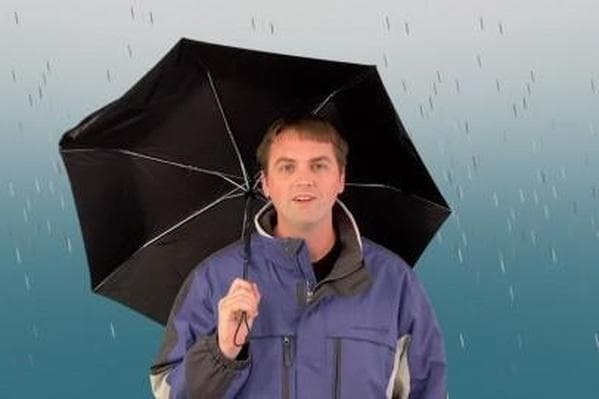 Educational Video