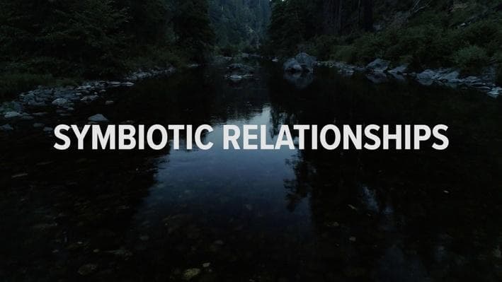 Educational Video
