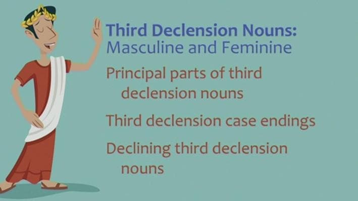 Educational Video