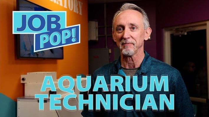 Educational Video