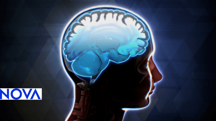 Educational Video