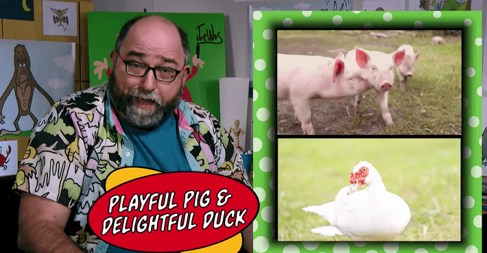 Educational Video