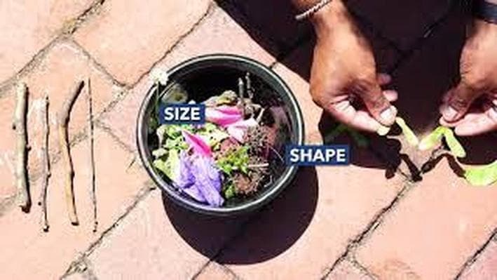 Educational Video