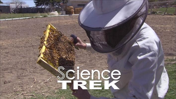 Educational Video