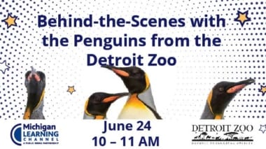 Detroit Zoo Penguins event with Michigan Learning Channel